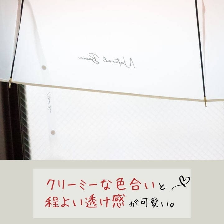 傘 ビニール傘 クリーミー ビニール おすすめ 人気  あっぷる本舗