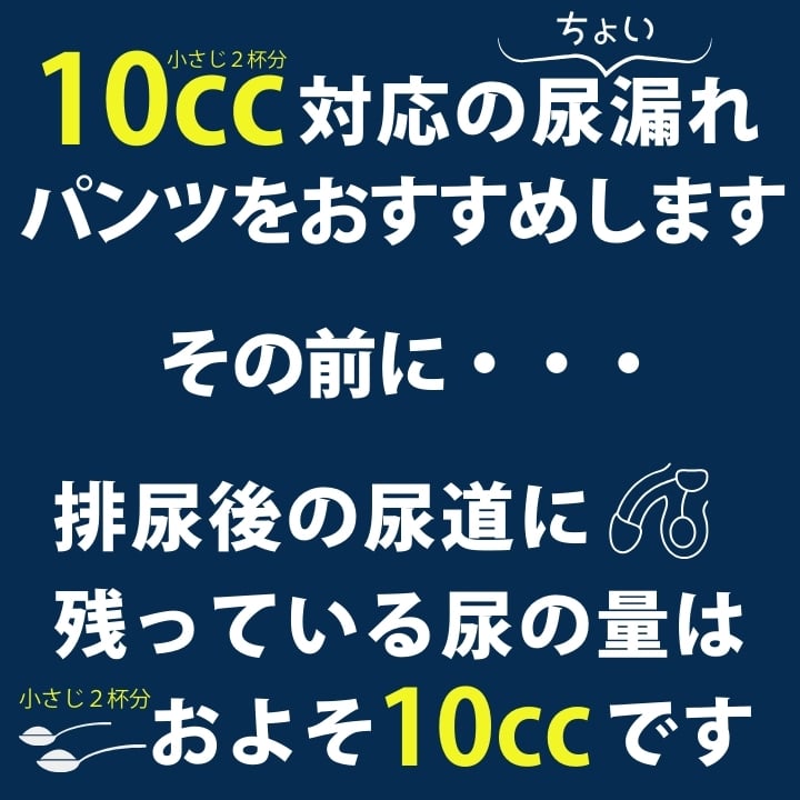 尿漏れパンツ 失禁パンツ 残尿吸収 ちょい漏れ ボクサー 前閉じ 人気 送料無料 あっぷる本舗