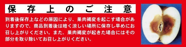 否バラ詰め【B級品・紅玉・20kg（20キロ） 用 木箱 サイズ ダンボール