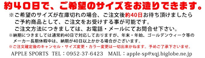 アップルオリジナル マラソンシューズ ミズノ ウエーブクルーズジャパン SP MIZUNO WAVE CRUISE JAPAN SP 1802rsq(8rq30001) ミズノ SP 8rq30001 シューズ