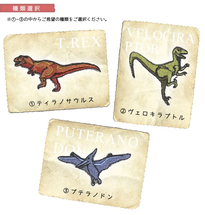 刺繍ワッペン 恐竜 ・ 総刺繍 ワッペン 肉食 プテラノドン