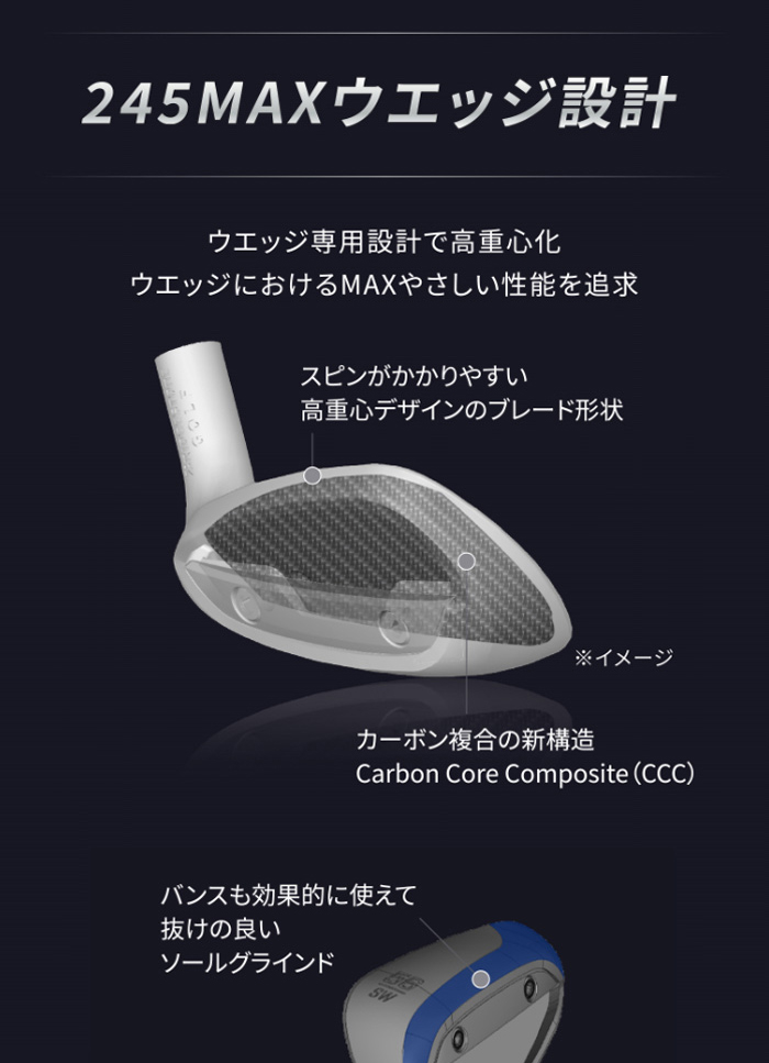 BRIDGESTONE（ブリヂストン） 日本正規品 BRIDGESTONE 245MAX 単品