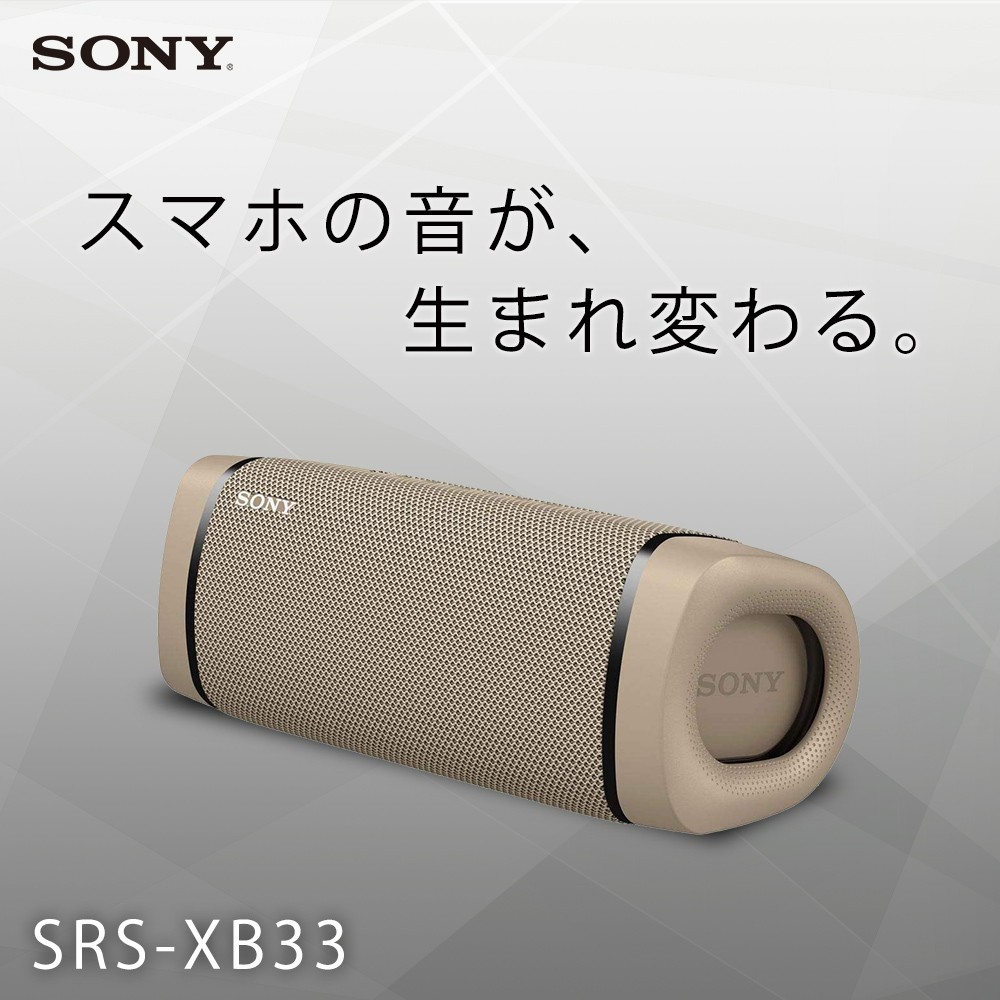 ソニー ワイヤレスポータブルスピーカー SRS-XB22 : 防水 / 防塵 / 防