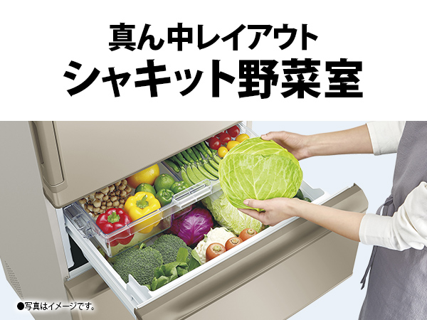 SHARP（シャープ） 冷蔵庫 二人暮らし 374L 300L 大容量 3ドア 両開き
