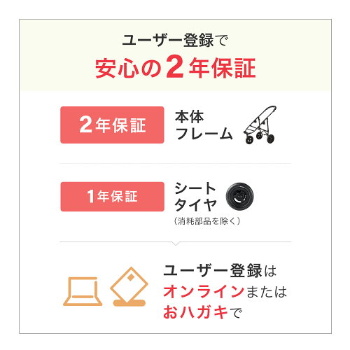 最新作 エアバギー ココプレミア フロムバース 新色ホワイトアッシュ