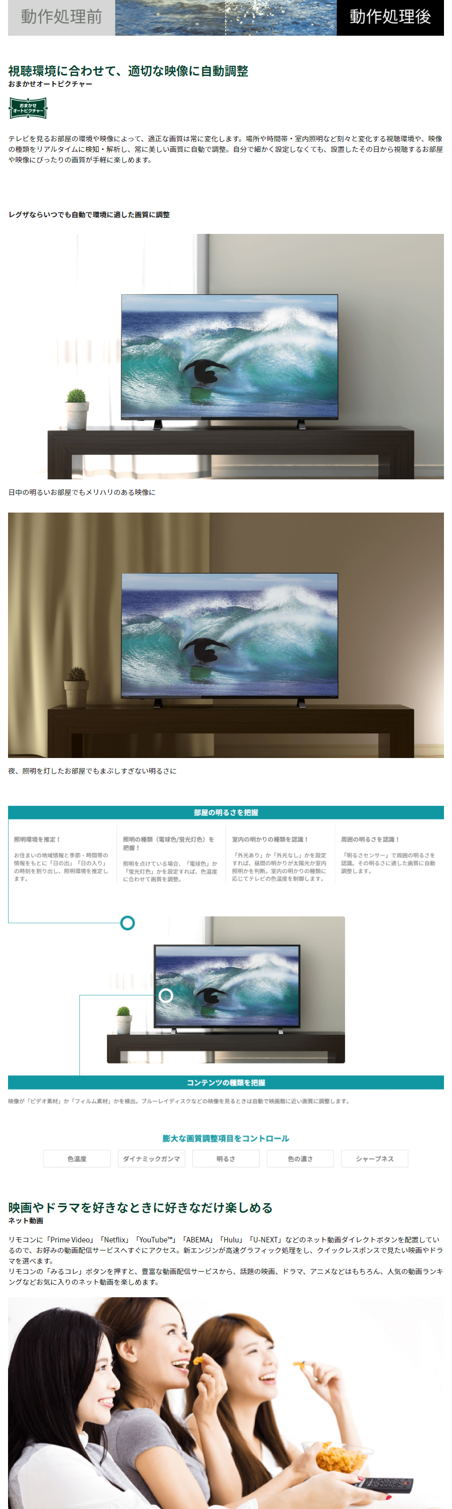 東芝 TOSHIBA LED REGZA 55F1 55インチ液晶TV | monsterdog.com.br