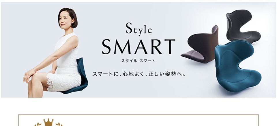 激安な SMART(スタイルスマート)ブラック Style MTG - 座椅子