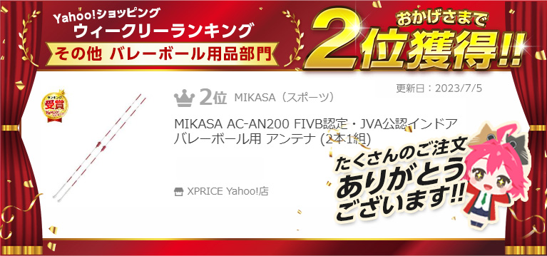 MIKASA（ミカサ） MIKASA AC-AN200 FIVB認定・JVA公認インドア