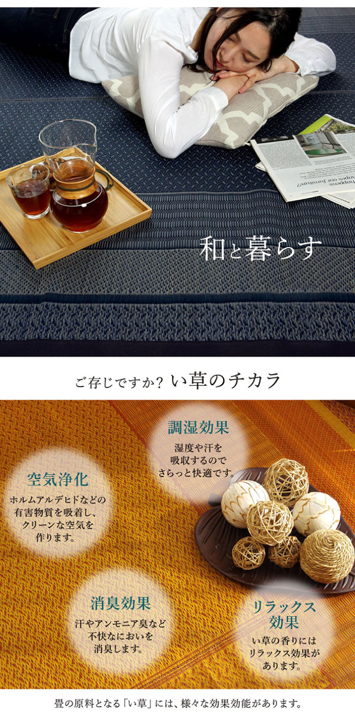 イケヒコ・コーポレーション 1050800193104 ラグ 国産 純国産 日本製