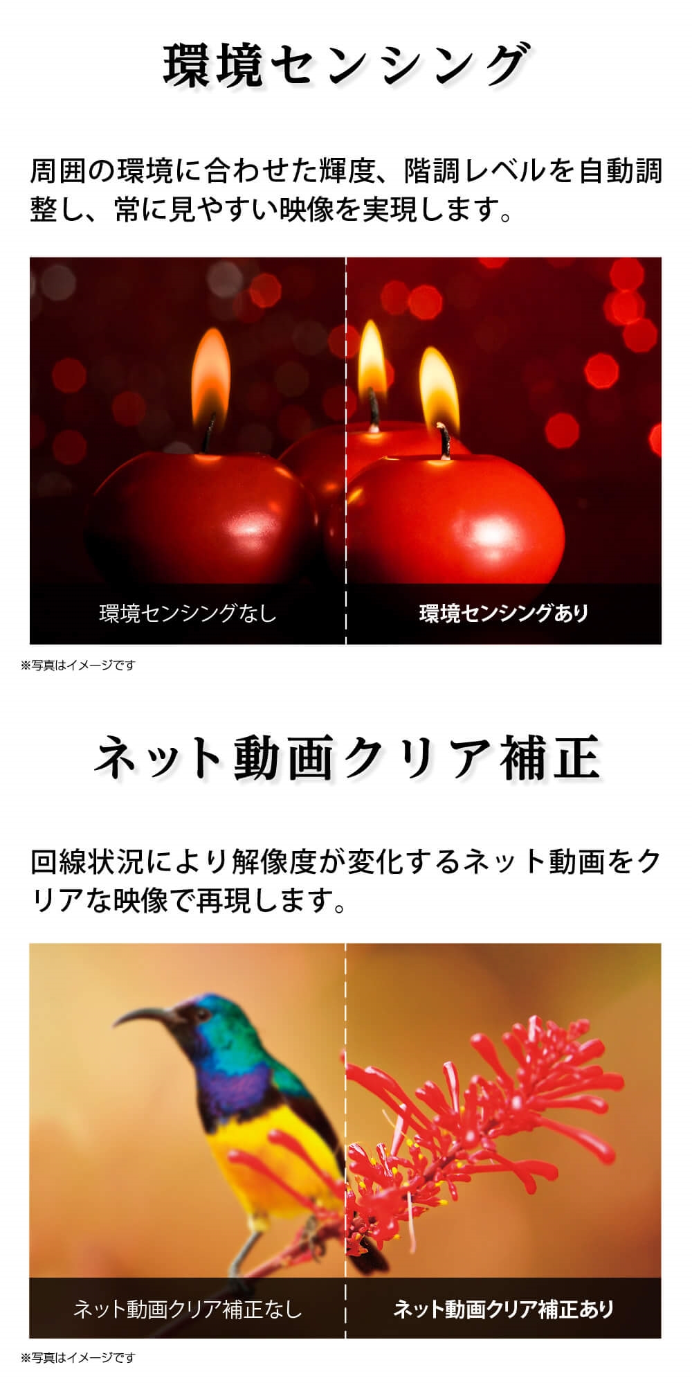 SHARP（シャープ） テレビ 50型 液晶テレビ アクオス 50インチ TV 4T 