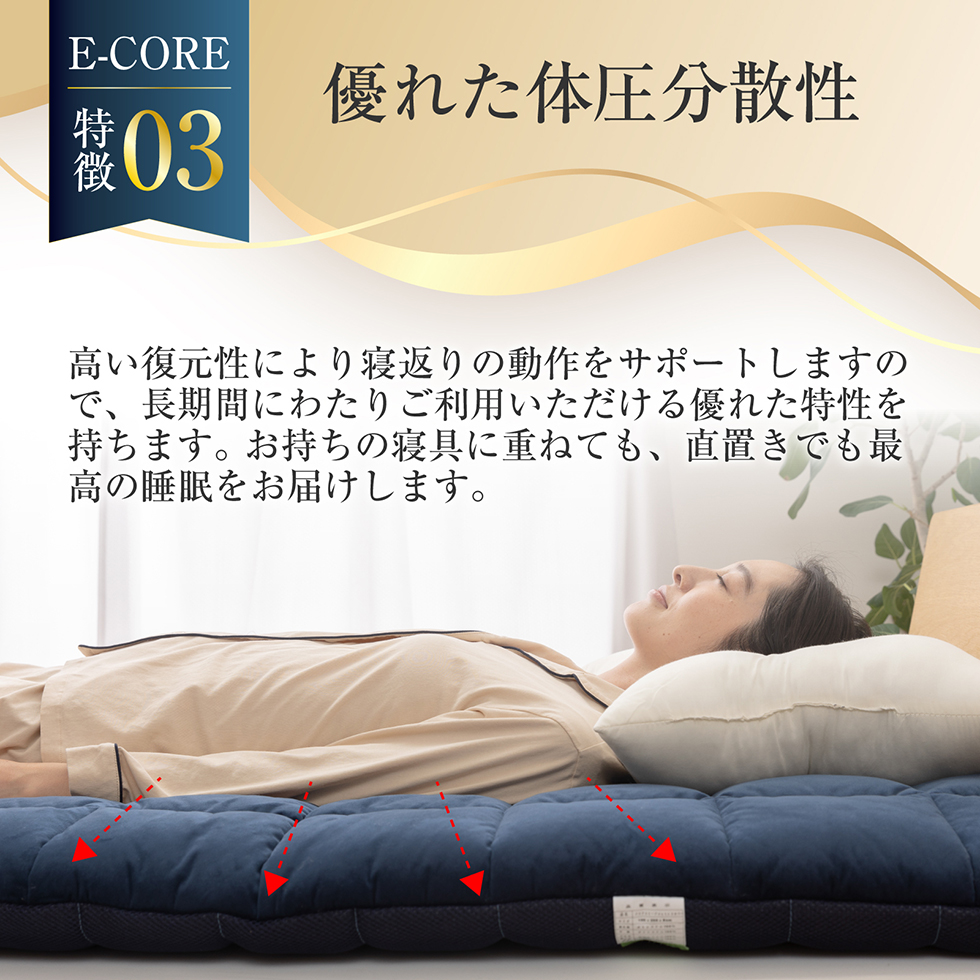 アクアスリープマットレス E-CORE 100×200cm ネイビー ダイコウ メーカー直送