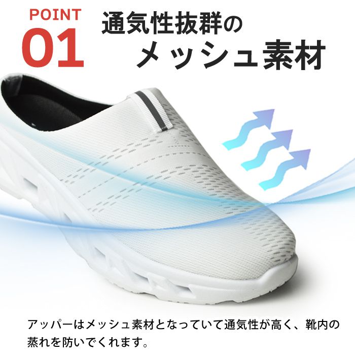 66244_point_03.jpg