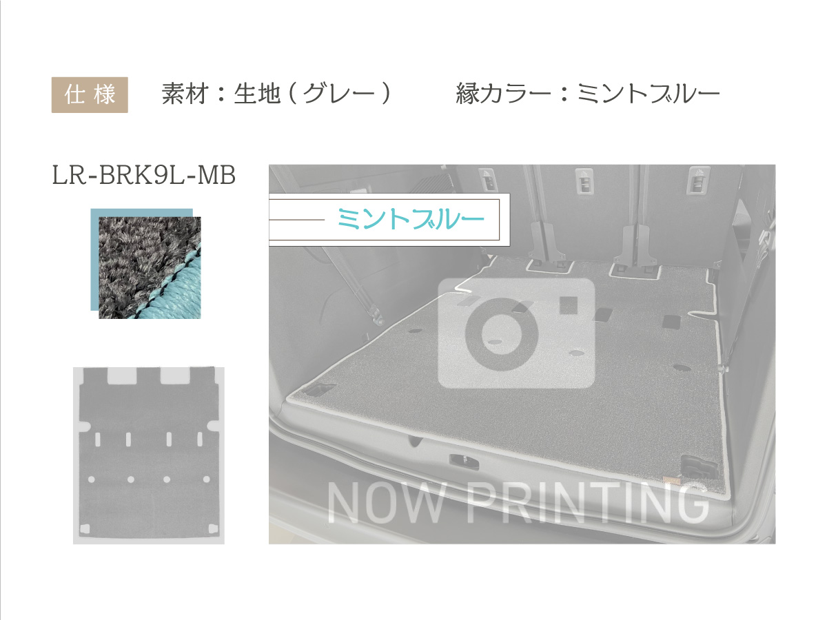 【セッコ②】ランドロック(フレーム、マット一式) Amazon.co.jp: YORKNEIC ホンダ 新型 ZR-V ラゲッジマット RZ系