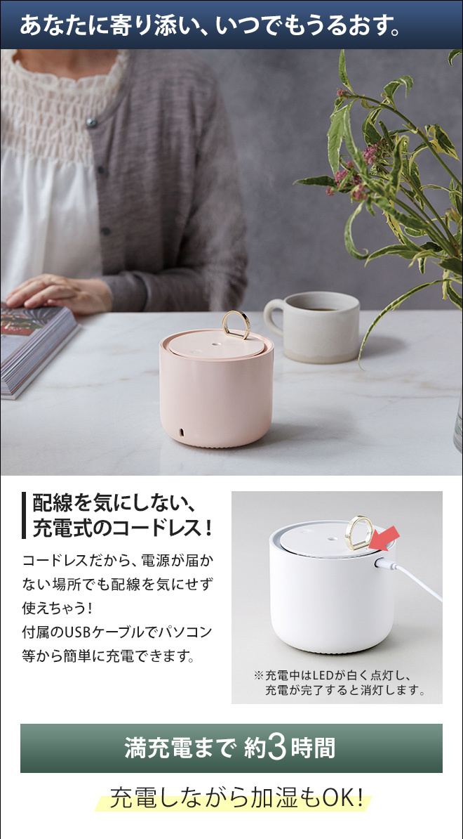 SIMPLE MIND（シンプルマインド） 超音波式加湿器 小型 USB充電式ミニ