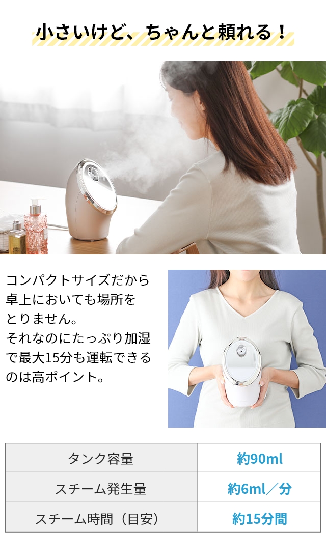 FESTINO フェスティノ 2大特典 スチーマー 美顔器 フェイシャル