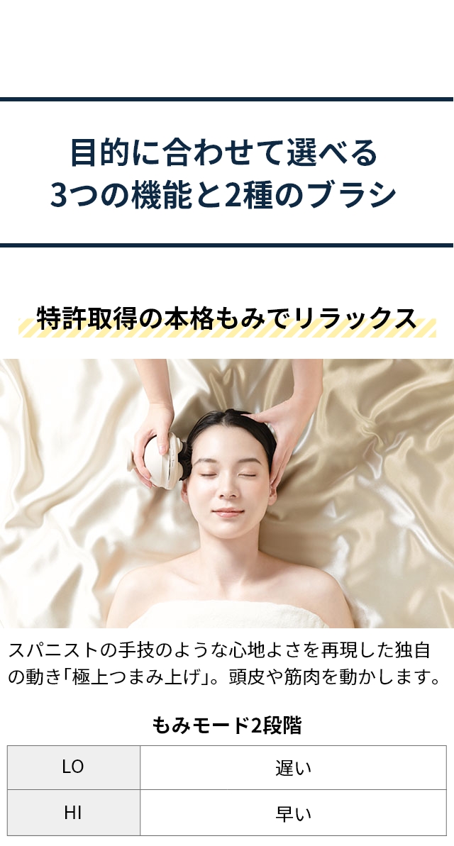 FESTINO (フェスティノ) 充電式 EMS ヘッドスパ プレミア SMHB-044