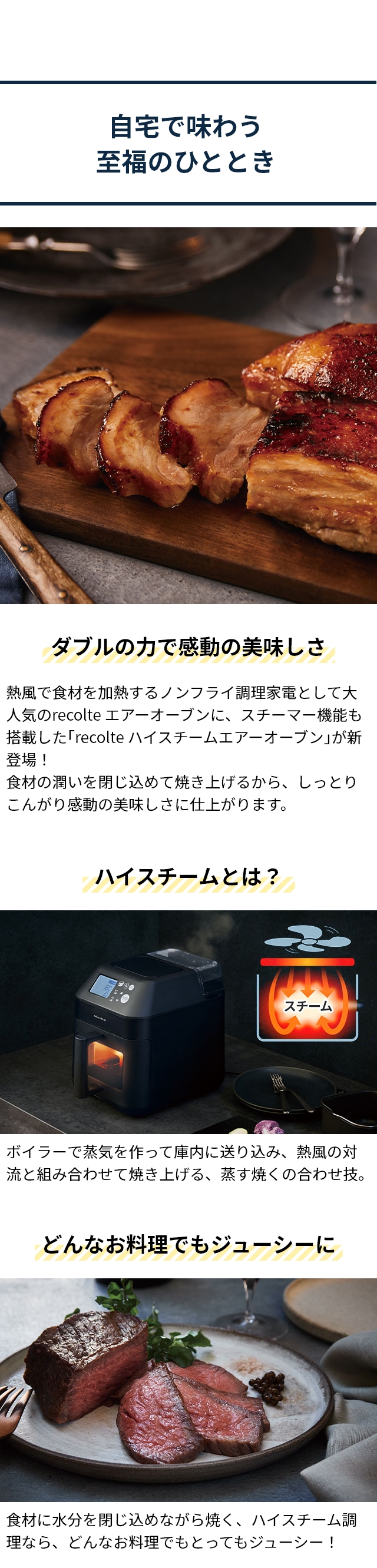 recolte (レコルト) ハイスチームエアーオーブン RAO-3