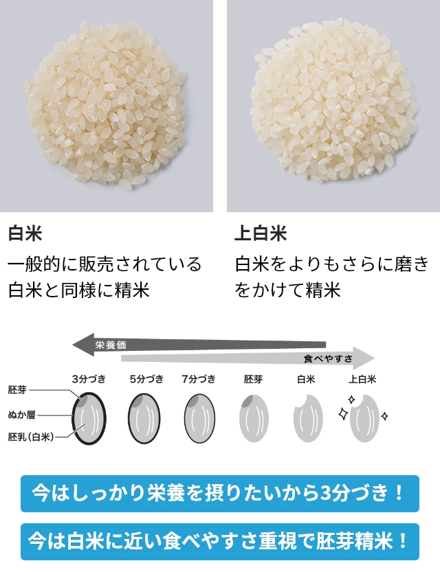 選べる豪華特典 精米機 家庭用 レコルト recolte コンパクト精米機 RRP-1 小型 精米器 2合 玄米 胚芽米 分づき米 対応 おしゃれ お手入れ簡単 ギフト プレゼント_10