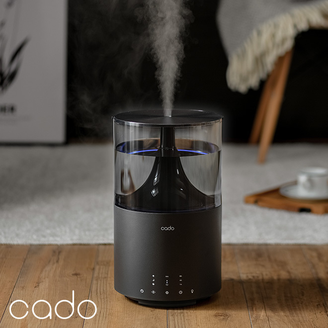 専門ショップ カドー cado 加湿器 限定カラー ブラック STEM300 加湿器