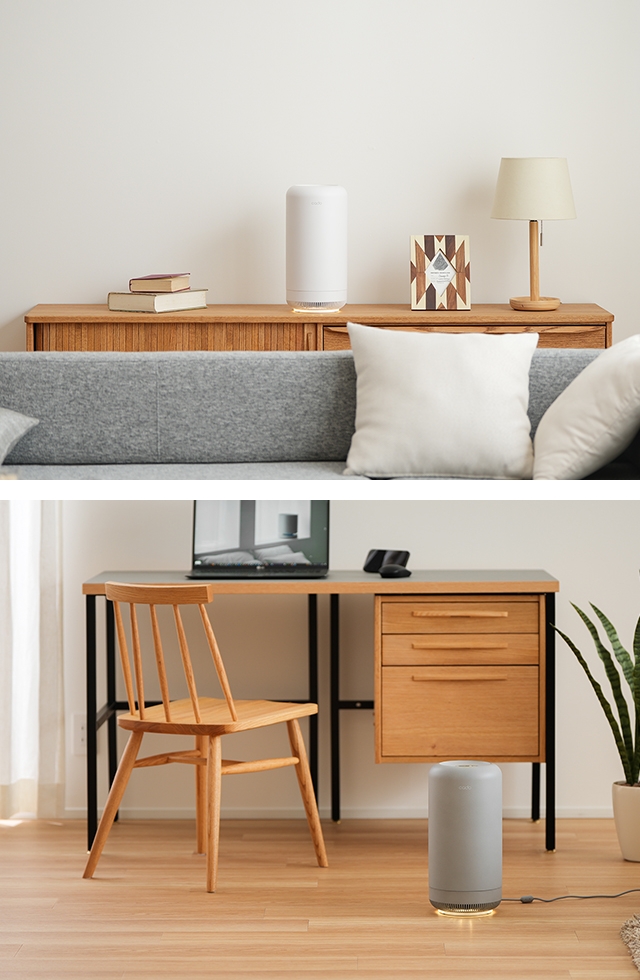 cado（カドー） 選べる豪華特典 オゾン脱臭機 除菌脱臭機 SAP-003 脱臭