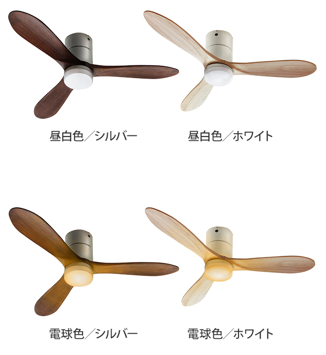 JAVALO ELF 選べる豪華特典 ジャヴァロエルフ Modern Collection LED
