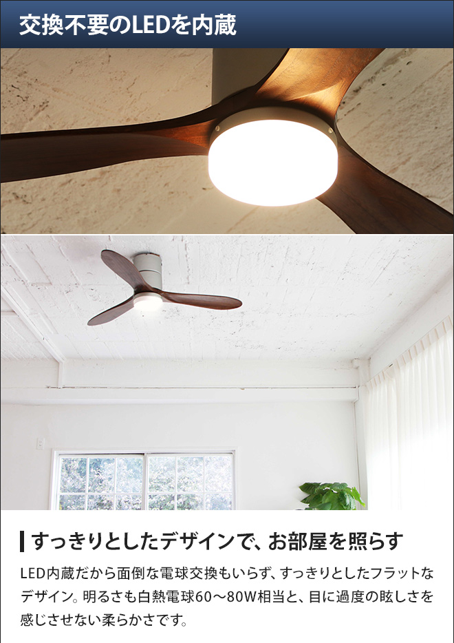JAVALO ELF 選べる豪華特典 ジャヴァロエルフ Modern Collection LED