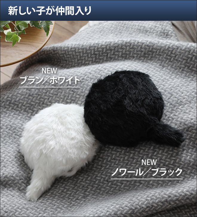 新品未使用☆ Petit Qoobo プチクーボ ブラン白 公式ストア】Petit Qoobo（プチ・クーボ）心を癒やす、小さな