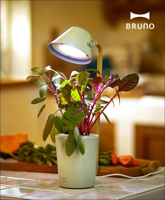 ドバイグリ 水耕栽培キット Led 調光 Bruno 土不要 家庭菜園 セレクトショップaqua アクア 通販 Paypayモール スタンドバイグリーン 栽培キット 室内 バジル かわいい ハーブ 野菜 グリーン デスクライト でもスタン