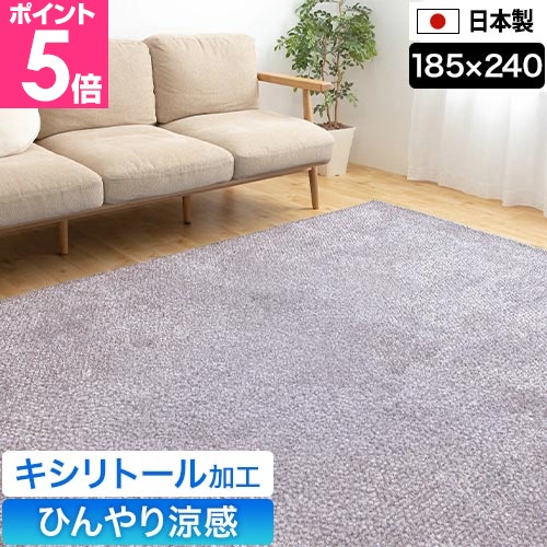 ナイスデイ マイナス2℃ 日本製 さらっとひんやり涼感ラグ L 185×240cm