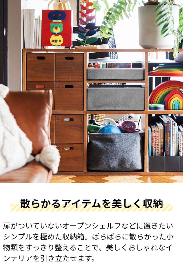 Like-it（ライクイット） 収納ボックス タイディアップボックス 浅型5