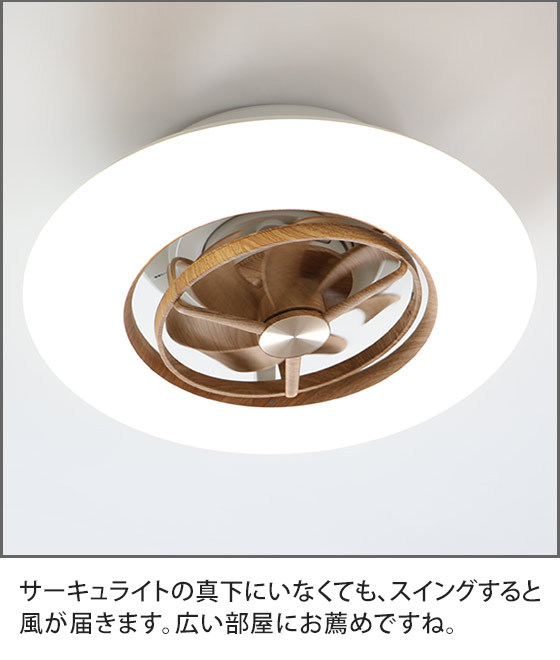 DOSHISHA（ドウシシャ） シーリングファン サーキュライト スイング