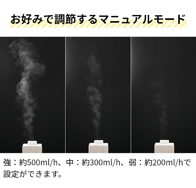 DOSHISHA ドウシシャ 選べる豪華特典 加湿器 スチーム式 湿度