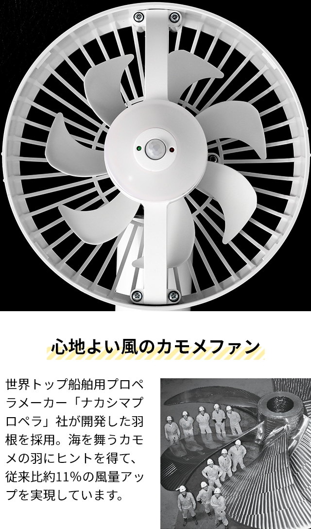 DOSHISHA シーリングファン 選べる豪華特典 サーキュライト