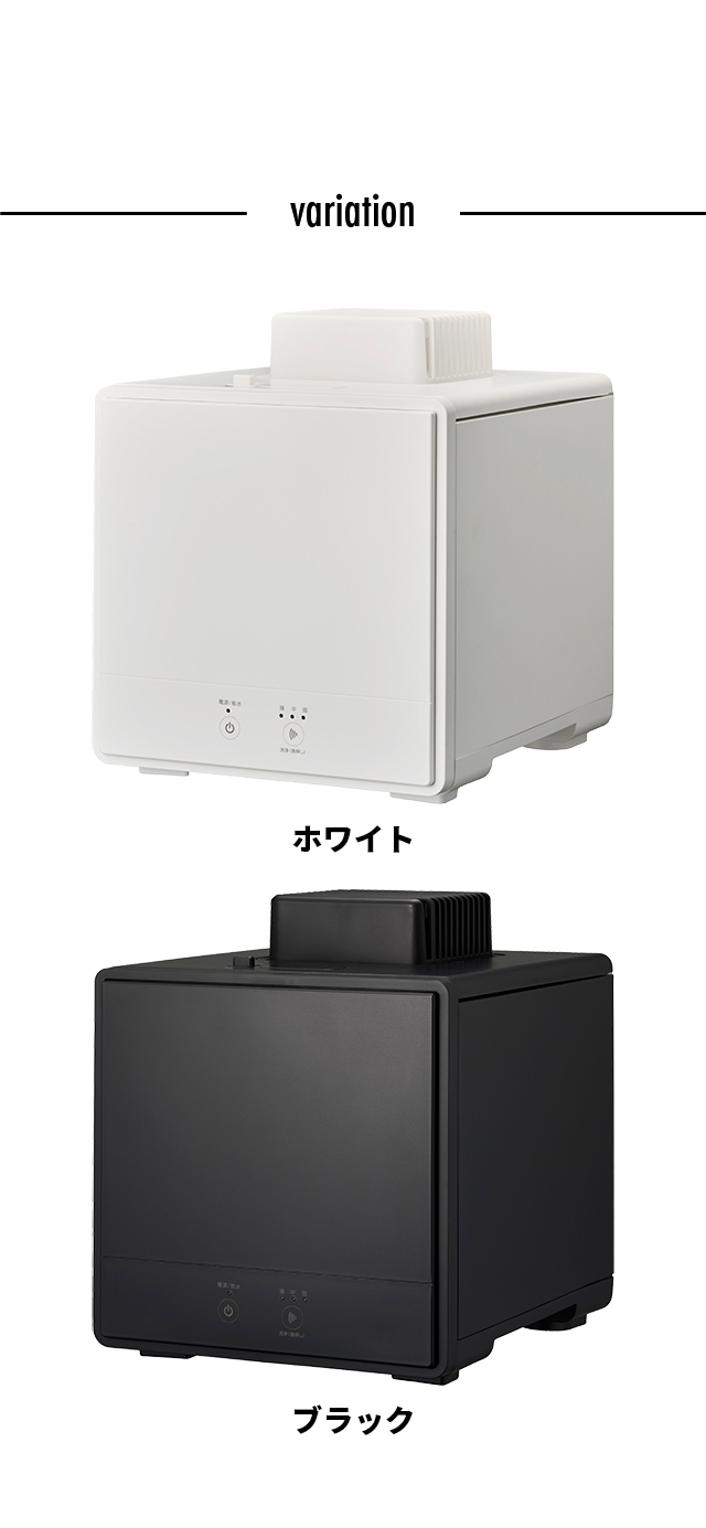 DOSHISHA（ドウシシャ） 選べる豪華特典 お手入れカンタン スチーム式