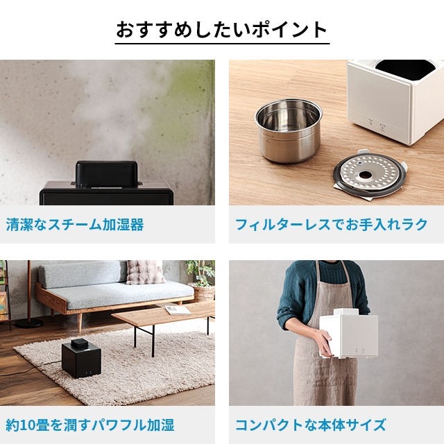 DOSHISHA（ドウシシャ） 選べる豪華特典 お手入れカンタン スチーム式