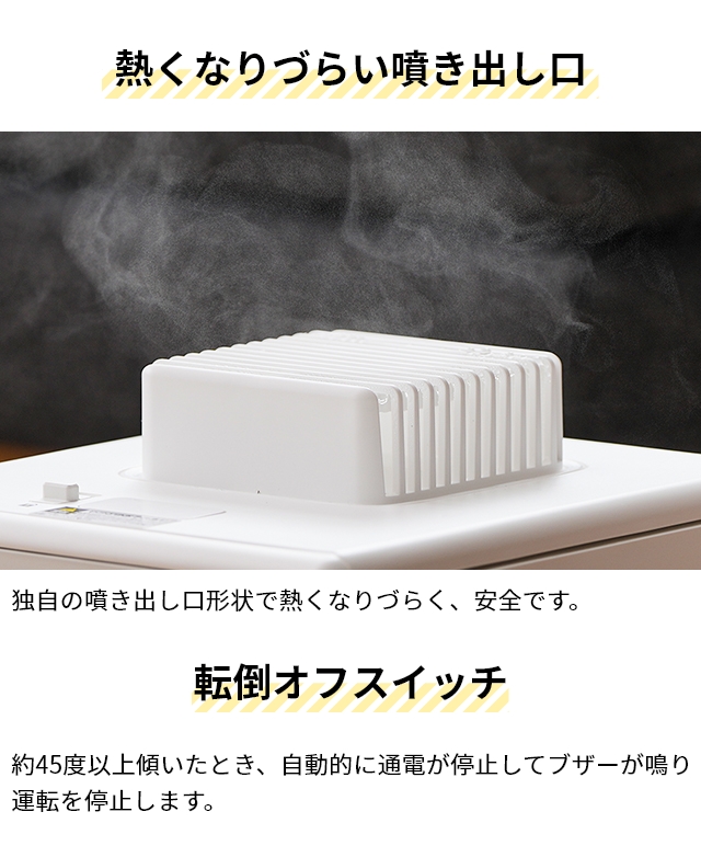 DOSHISHA（ドウシシャ） 選べる豪華特典 お手入れカンタン スチーム式