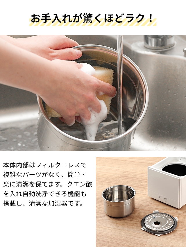 DOSHISHA（ドウシシャ） 選べる豪華特典 お手入れカンタン スチーム式