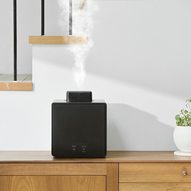 DOSHISHA（ドウシシャ） 選べる豪華特典 お手入れカンタン スチーム式