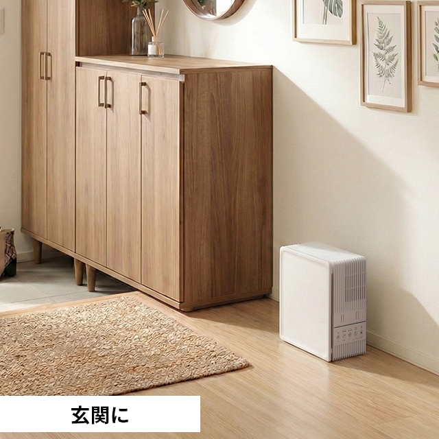 DOSHISHA（ドウシシャ） 空気清浄機 薄型空気清浄機 APA-081WH ペット