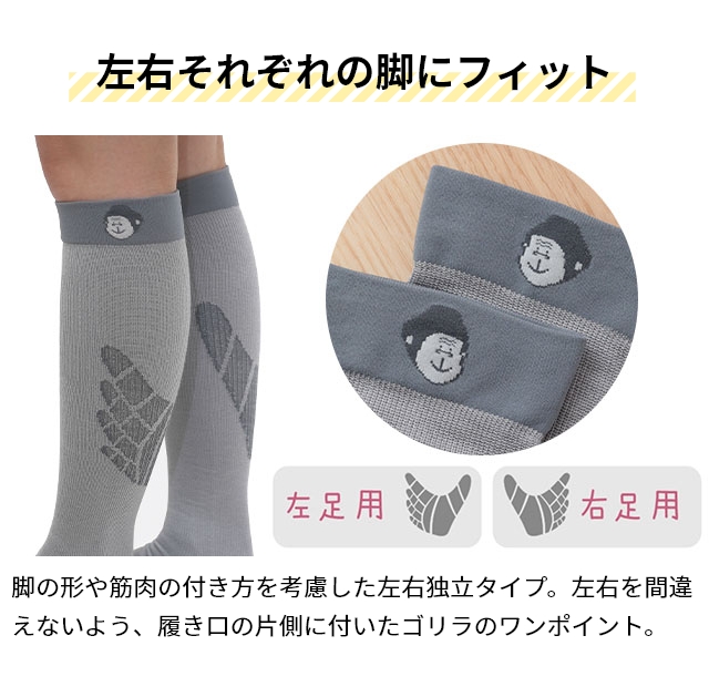 ぴらふ DOSHISHA（ドウシシャ） 選べる豪華特典 ゴリラのひとつかみ＋ベビー