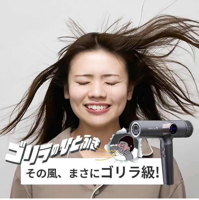 ドウシシャ ゴリラのひとふき