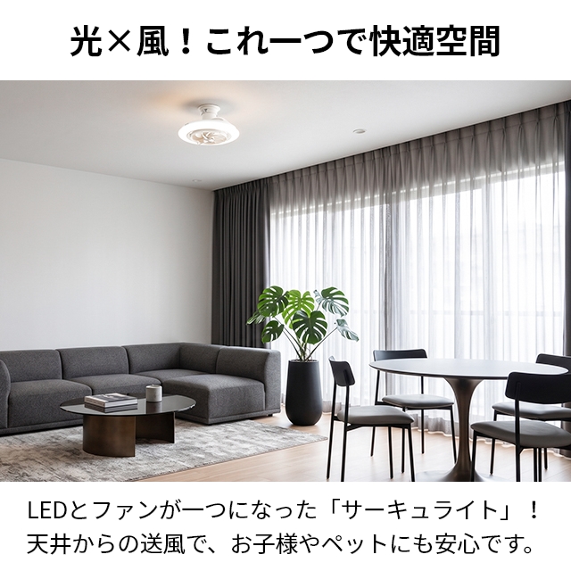 DOSHISHA（ドウシシャ） サーキュライト 選べる豪華特典 EZシリーズ