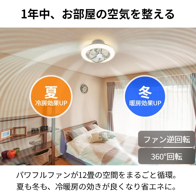 DOSHISHA（ドウシシャ） サーキュライト 選べる豪華特典 EZシリーズ