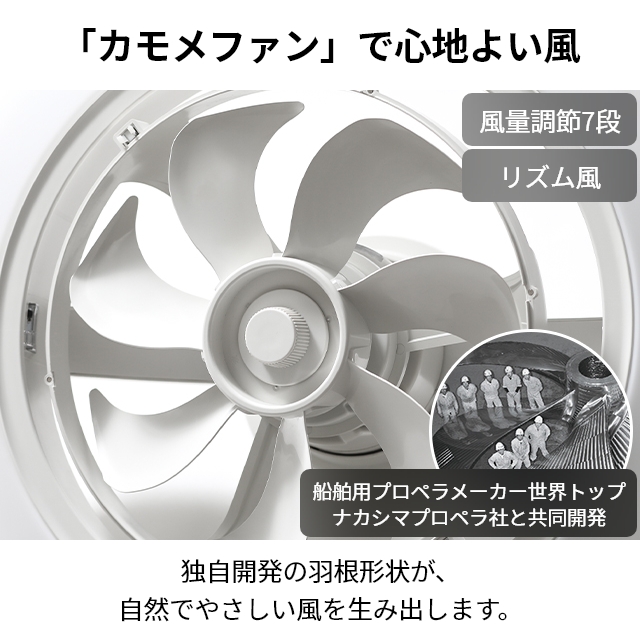 DOSHISHA（ドウシシャ） サーキュライト 選べる豪華特典 EZシリーズ