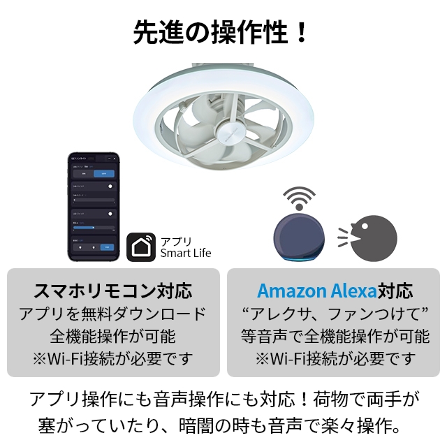 DOSHISHA（ドウシシャ） サーキュライト 選べる豪華特典 EZシリーズ