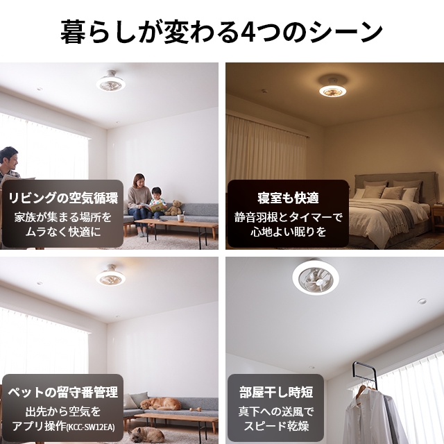 DOSHISHA（ドウシシャ） サーキュライト 選べる豪華特典 EZシリーズ