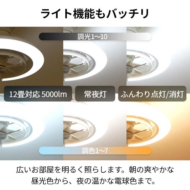 DOSHISHA（ドウシシャ） サーキュライト 選べる豪華特典 EZシリーズ