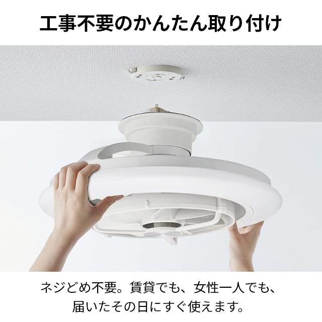 DOSHISHA（ドウシシャ） サーキュライト 選べる豪華特典 EZシリーズ
