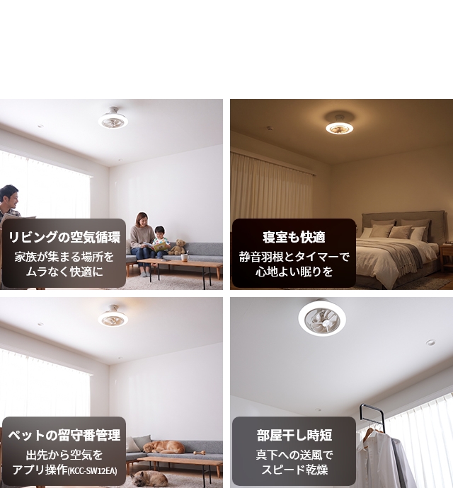 DOSHISHA（ドウシシャ） サーキュライト ハンディファンの特典有 EZ