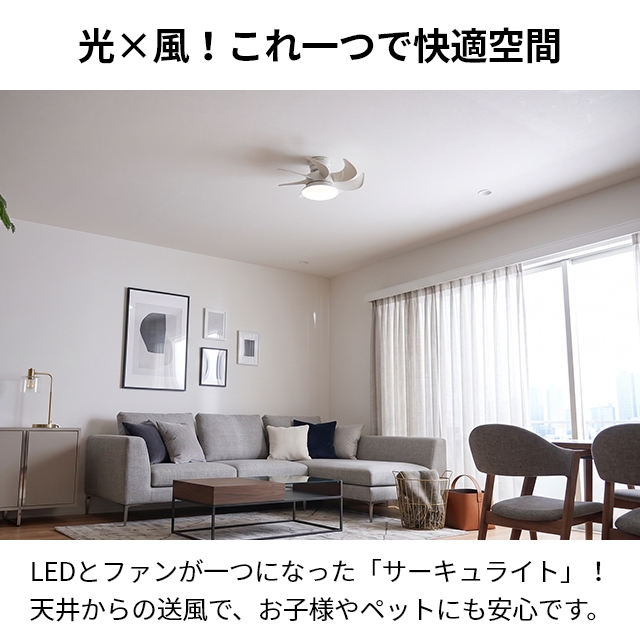 DOSHISHA（ドウシシャ） サーキュライト 選べる豪華特典 ウイング